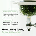 Refreshing Sea kelp Real Deep Mask Biodance