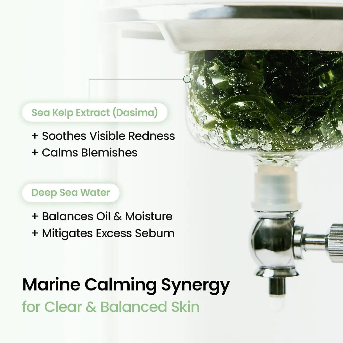 Refreshing Sea kelp Real Deep Mask Biodance