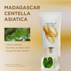 Madagascar Centella Soothing Cream 75ml SKIN1004